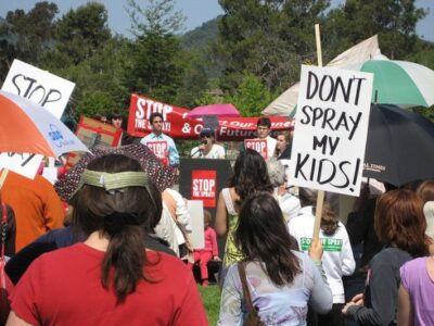 Is Our World Toxic? Ask a Mother Image